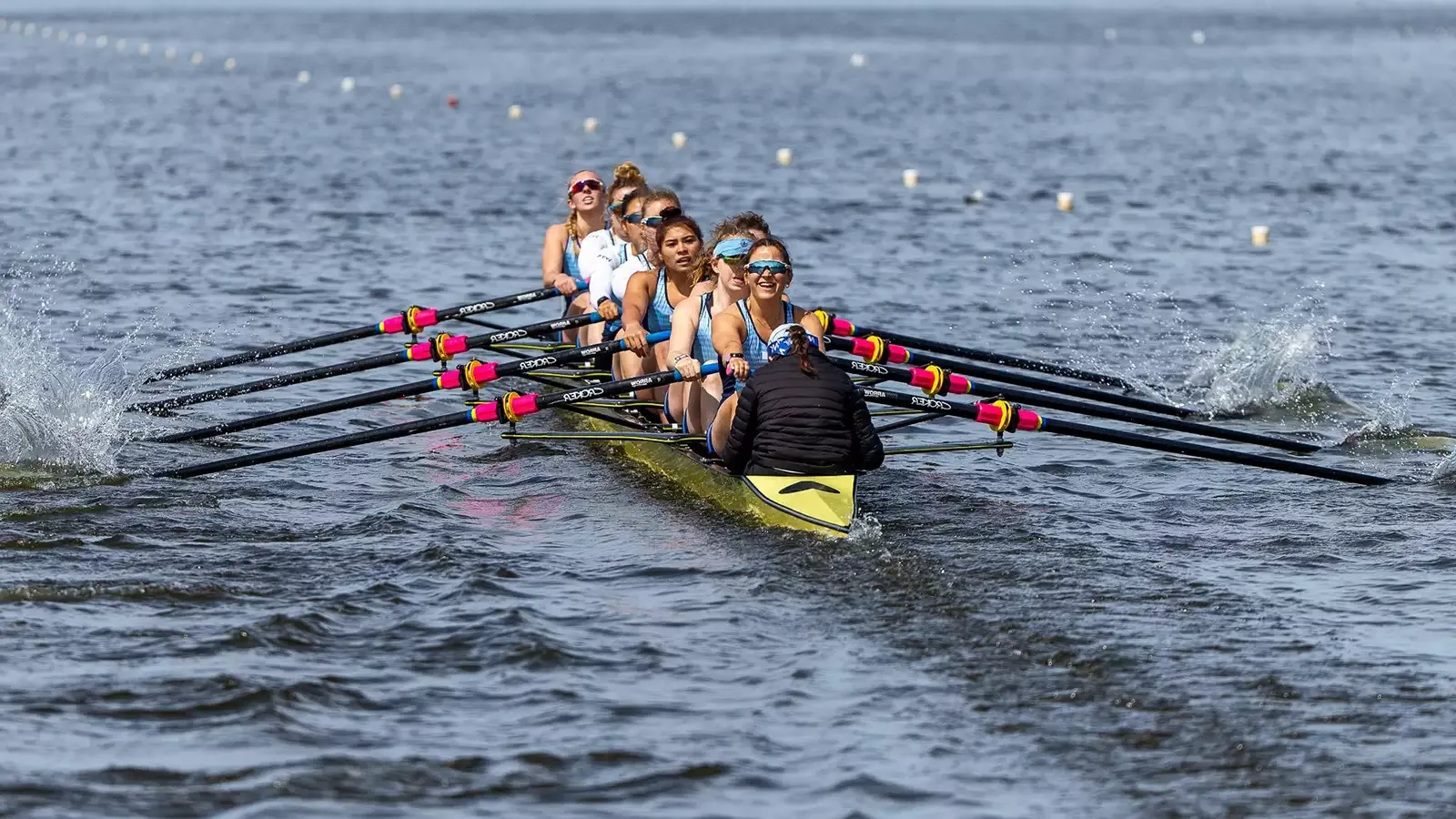 Lions Rowing